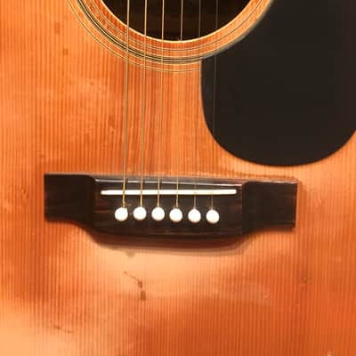 Yamaki F118 MIJ with Taylor Tuners image 5