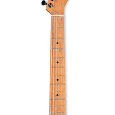 Mint Tagima Stella NTS-LF HSS Mahogany Body Electric Guitar with Roasted Maple Neck image 3