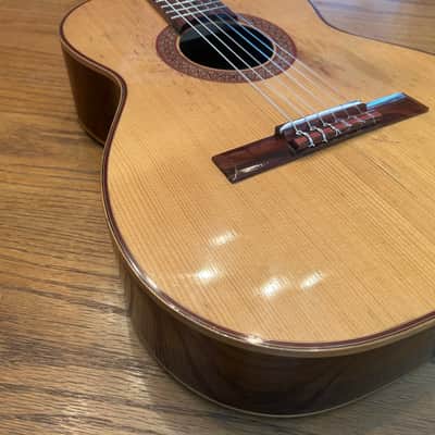 1978 Giannini AWN-21 - Natural Brazilian Rosewood/Jacaranda image 21