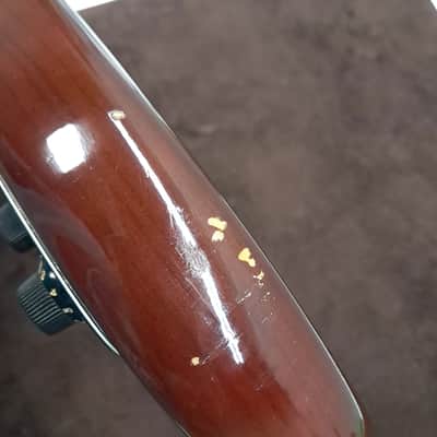 Fender 1978 Stratocaster Walnut w/OHSC (263) USED image 7