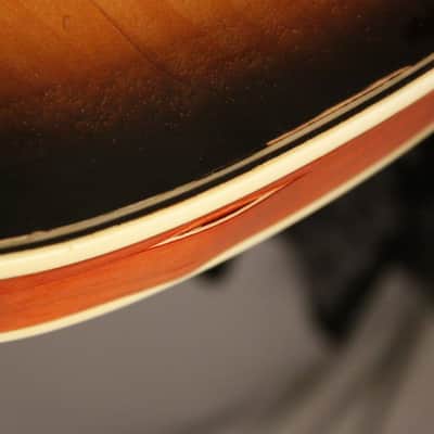 Immagine Ampeg/Burns TR2 solid carved top/back 1963-64 Sunburst - 22