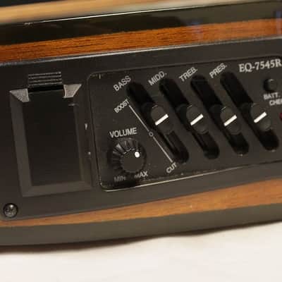 Anderwood LT-OMGE Electric Lap Steel Guitar, Great Condition, UK Made!!! #10548 image 6