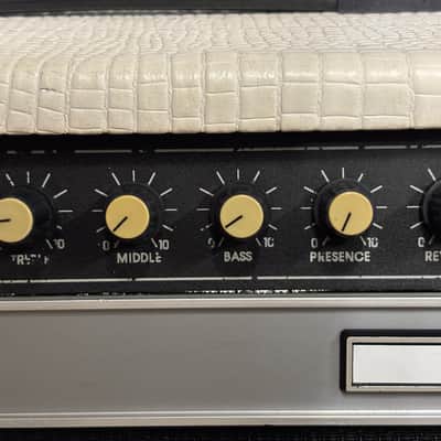 Randall RG50 112 Snakeskin Tolex w/ JAGUAR 12" RES-80 Speaker Great Condition image 9