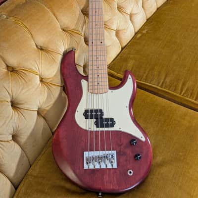 Alien Audio Constellation 5 String Bass image 3