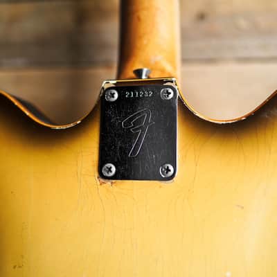 1968 Fender Coronado II in Antigua image 8