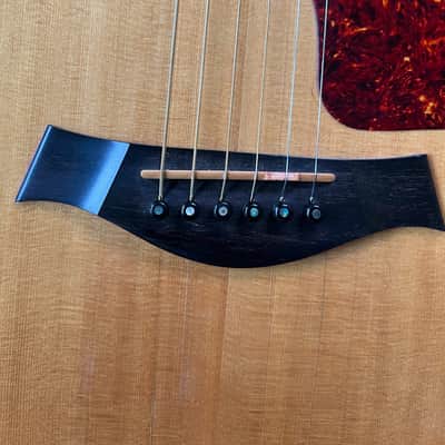 1999 Taylor 814-BCE 25th Anniversary Brazilian Rosewood image 3