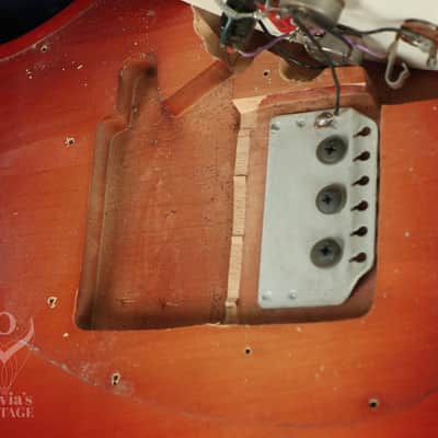 1960 Rickenbacker Combo 425 Fireglo image 23
