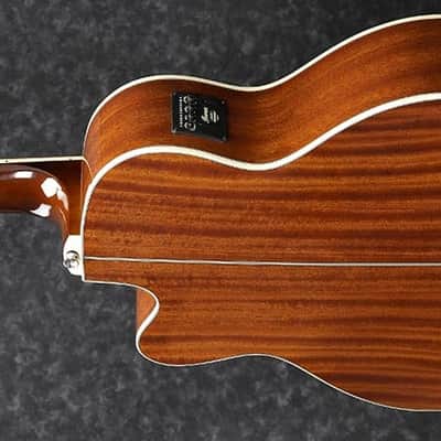 Ibanez AEB105ENT Acoustic Bass image 3