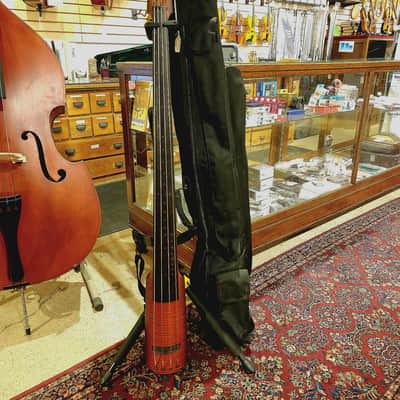 NS Design NXT4 Double Bass image 5