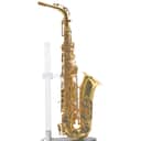 Eastman EAS850 'Rue Saint-Georges' Professional Alto Saxophone SN A2340509