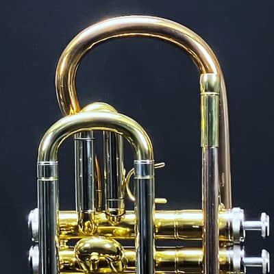 SCHILLER Shepards Crook Pro Elite Cornet in Brushed Rose 2019 image 18