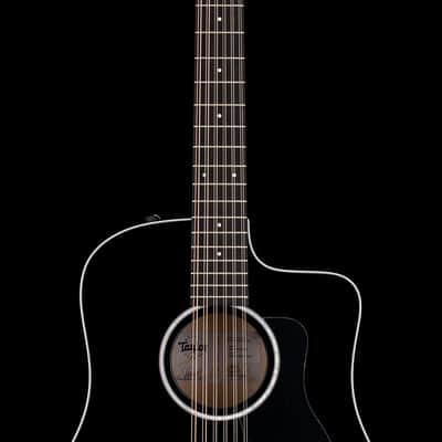 Taylor 250ce-BLK Plus #74423 (NAMM) image 5