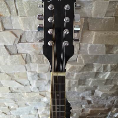 Washburn MIK newer image 2