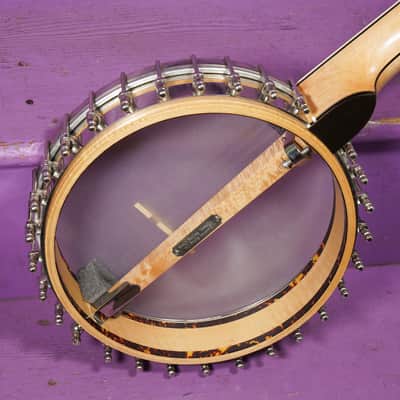 2010s Eastman Whyte Laydie-Style 5-String Openback Banjo (VIDEO! Fresh Work, Ready) image 8