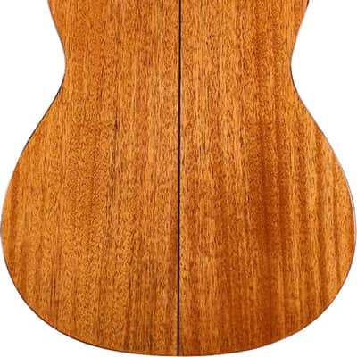 Cordoba FUSION5 - Crossover Cutaway Electric Nylon String Guitar w/Fishman Presys VT Electronics, Natural image 2