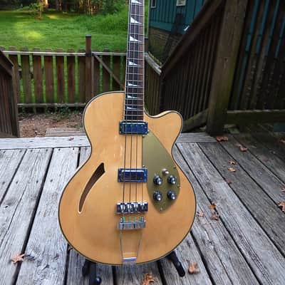 Waterstone Meaden Bass Hollowbody image 1