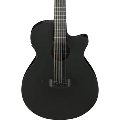 Ibanez AEG1221-BOT 12-String - 12 String Acoustic Guitar image 4