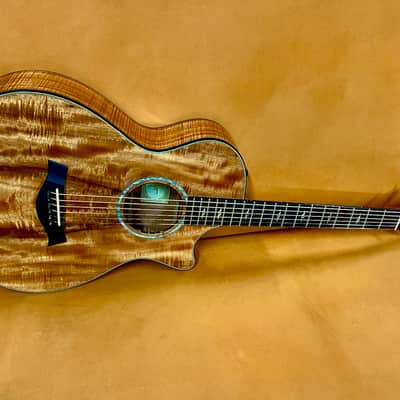 Taylor Spring Limited Edition Grand Concert Acoustic-Electric Guitar 2010 - Natural image 1