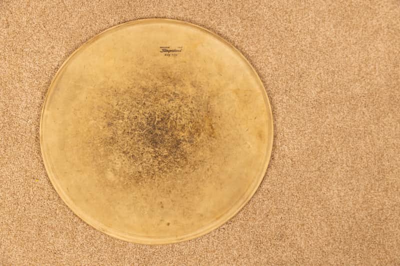 Vintage Slingerland 16" Calfskin Head
