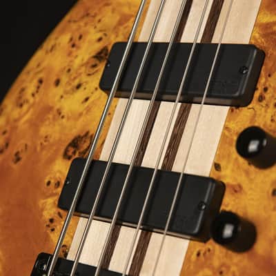 Cort Artisan Series A5 Plus 5 String Bass Guitar, Open Pore Amber (A5PLUSSCAOP) image 2