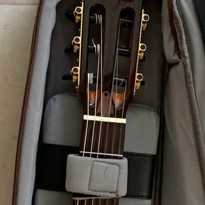 Cordoba Stage guitar Thinline Classical 2022  Town flame image 3