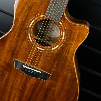 Washburn Comfort G55CE Koa image 11