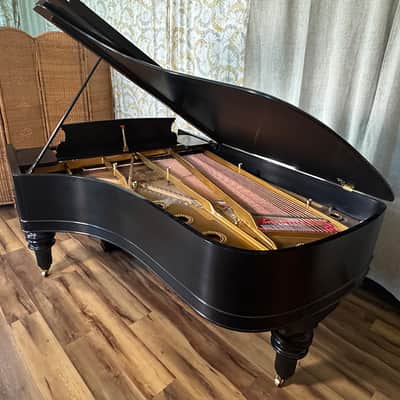 Steinway & Sons Art-Case Model C 1877 - Ebony Satin image 3