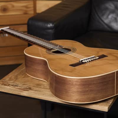 Ortega R20GWN Traditional Series Solid Cedar Top Mahogany Neck Nylon 6-String Classical Acoustic Guitar w/Gig Bag image 19