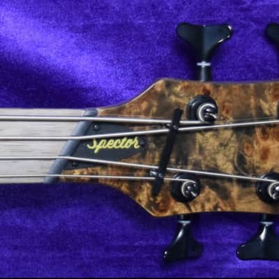 Spector NS Dimension 4-String, Super Faded Black Gloss Over Poplar Burl / Wenge Fingerboard image 3