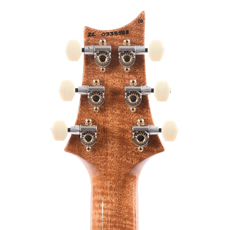 PRS DGT David Grissom Signature Wood Library image 7