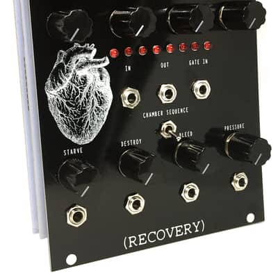 Recovery Effects Bleeding Hearts Eurorack Module Random Sequence Rhythm Generator Glitch Bit Crush image 2