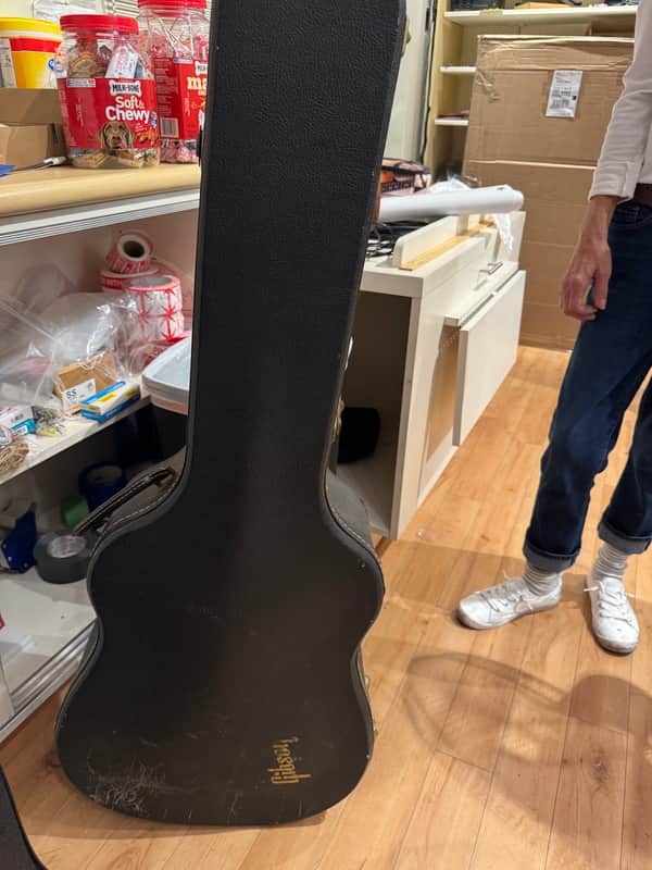 Gibson Dove 1966 Original Case