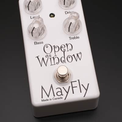 Mayfly Open Window (original artwork) image 1