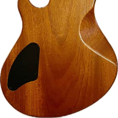 Washburn WMS Custom Shop USA Mahogany Body Set Neck with OHSC 1998 - Natural image 5