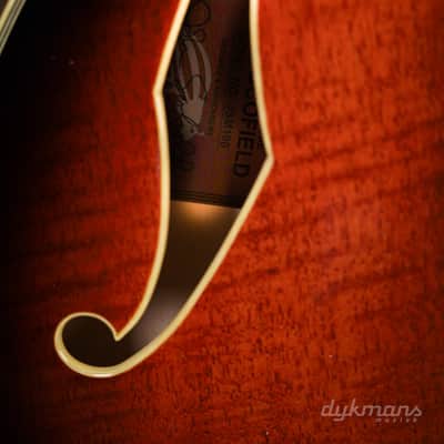 Immagine Ibanez John Scofield JSM100 Vintage Sunburst - 4