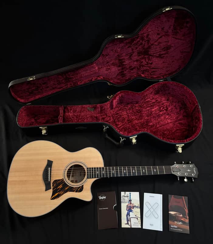 Taylor 314ce with V-Class Bracing