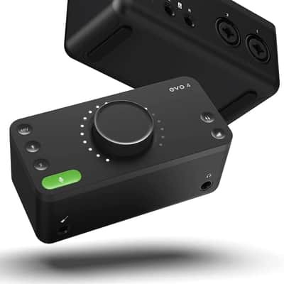 Audient EVO 4 Audio Interface with Instrument Cable, XLR Cable, Polishing Cloth image 5