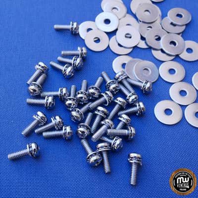 DW Lugs Mounting Screws 32 Pieces Long image 2