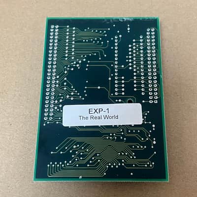 Ensoniq EXP-1 EXP1 The Real World Expansion Board MR-61, MR-76, ZR76, MR Rack, ASR-X image 2
