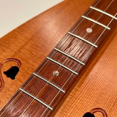 Peter Sean Cooney Hourglass Dulcimer #229 1979 image 13