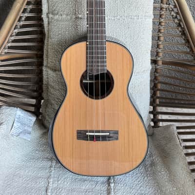 Oli L2 BCE Baritone Ukulele with Crossrock Flight Case 2023-2024 - Gloss image 1