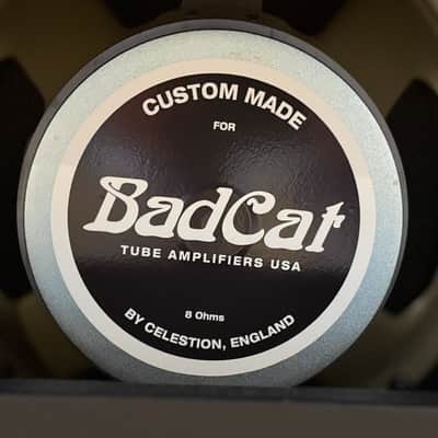 Bad Cat 1x12 Cabinet image 3