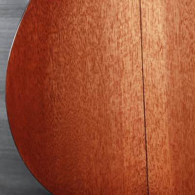 Eastman E10P-TC Thermo-Cure Parlor Guitar Mahogany / Adirondack image 11