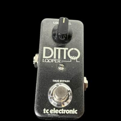 TC Electronic Ditto Looper -x14958 image 1