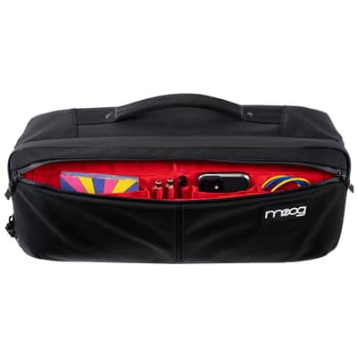 Moog Music Res Sr Ether Theremin Etherwave Sr Case image 4
