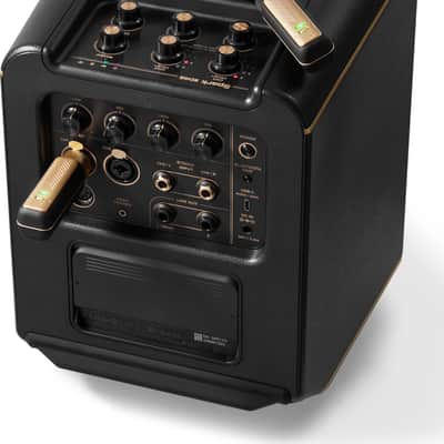 Positive Grid Spark LINK XLR Wireless Microphone System image 6