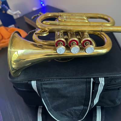 Brand new Pocket Trumpet with Hardcase and Mouthpiece - Brass Gold image 5