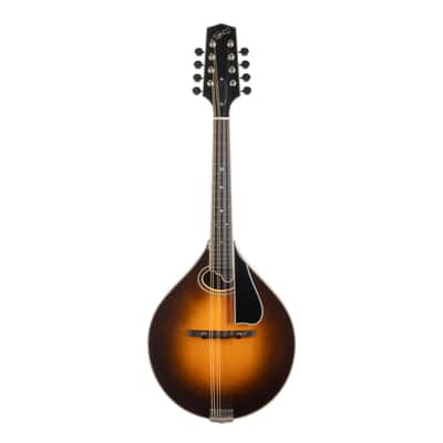 Used Northfield NFMSP-A4 Mandolin Sunburst 2023 image 4