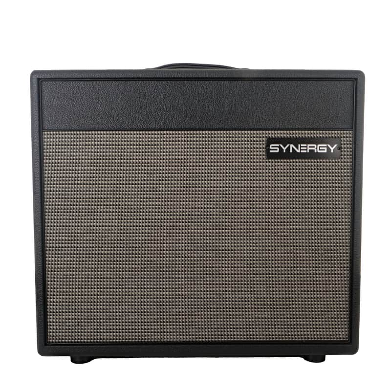 Immagine Synergy SYN-20IR 1x12" Combo Amp - 1