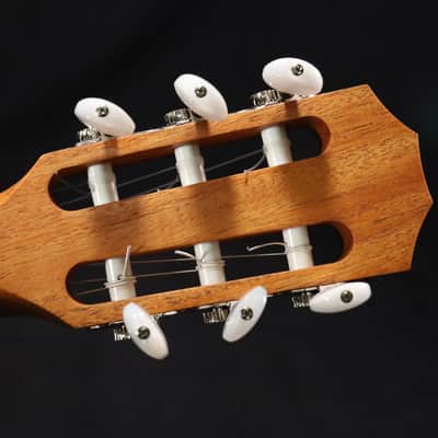 Taylor 214ce-N Nylon Acoustic-electric Guitar - Natural 500 image 8